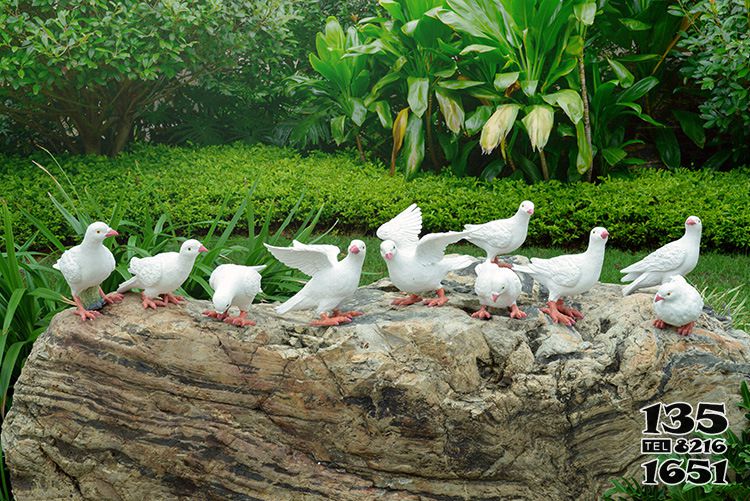 鴿子雕塑- 公園街道仿真動物園林景觀創意玻璃鋼鴿子雕塑高清圖片