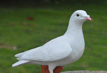 鴿子雕塑-公園戶(hù)外創(chuàng)意仿真動(dòng)物裝飾品擺件鴿子雕塑