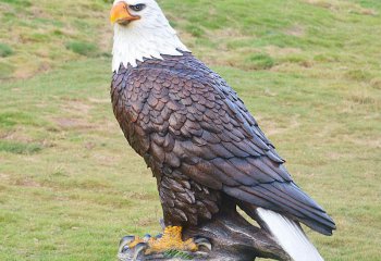 老鷹雕塑-動(dòng)物園一只孤獨(dú)的樹(shù)脂老鷹雕塑