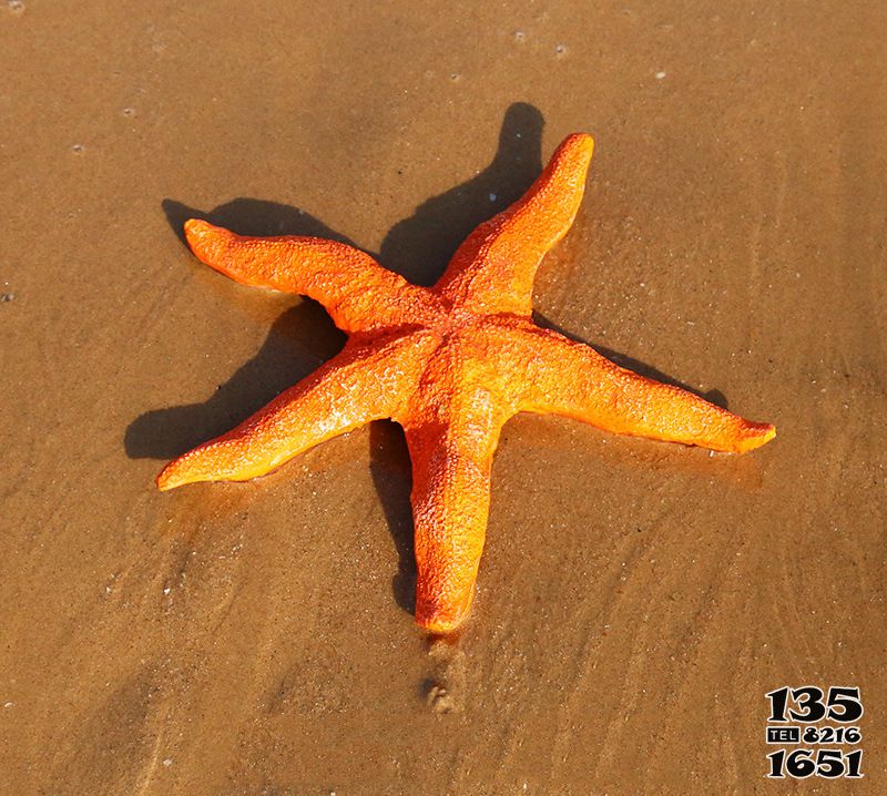 海星雕塑-公園街道擺放的玻璃鋼創意海星雕塑高清圖片