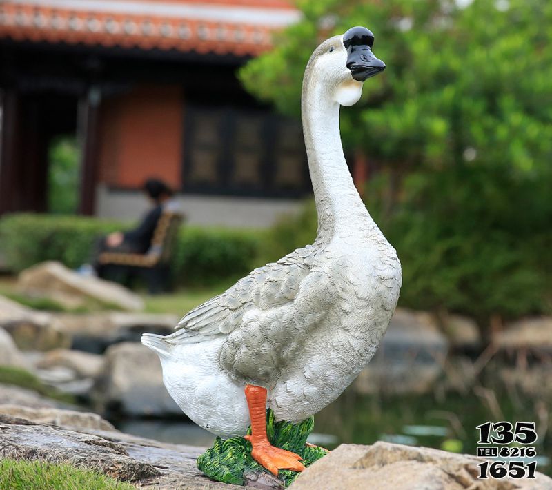 天鵝雕塑-鄉村路上行走的玻璃鋼材質天鵝雕塑高清圖片