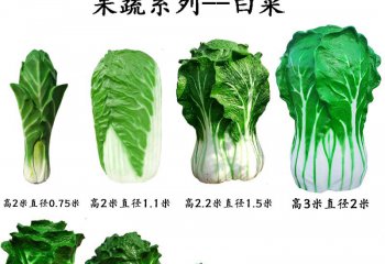 玻璃鋼果蔬白菜雕塑-玻璃鋼果蔬白菜雕塑，仿真玻璃鋼白菜雕塑